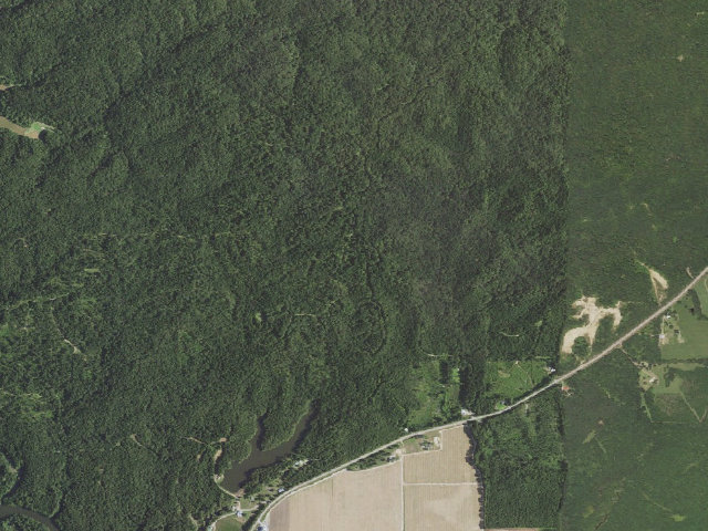 Aerial image of J.C. "Sonny" Gilbert WMA primitive camping area 2