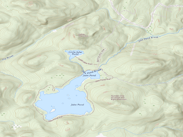 USGS topographic map of Jabe Pond Campsite 1 (Lake George Wild Forest)