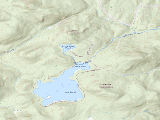 USGS topographic map of Jabe Pond Campsite 2 (Lake George Wild Forest)