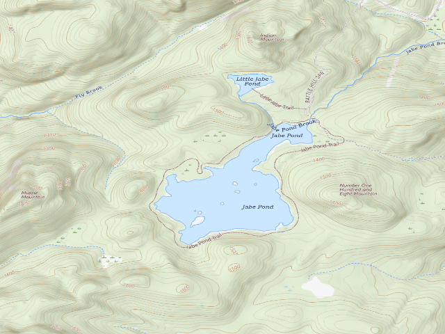 USGS topographic map of Jabe Pond Campsite 3 (Lake George Wild Forest)