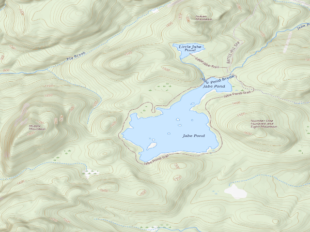 USGS topographic map of Jabe Pond Campsite 4 (Lake George Wild Forest)