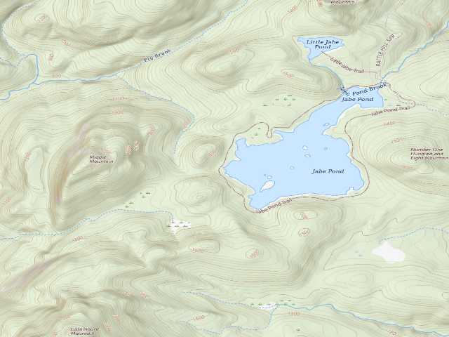 USGS topographic map of Jabe Pond Campsite 5 (Lake George Wild Forest)