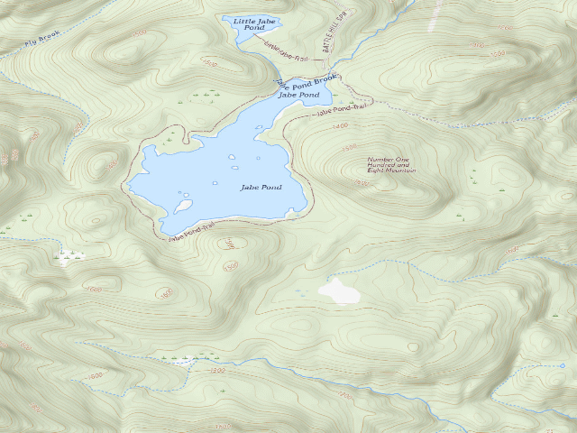 USGS topographic map of Jabe Pond Campsite 6 (Lake George Wild Forest)