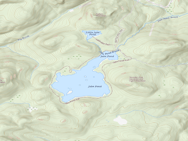 USGS topographic map of Jabe Pond Campsite 7 (Lake George Wild Forest)