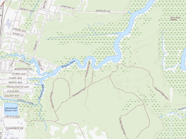 USGS topographic map of Jacinto Port Tract camping area (W.L. Holland WMA, Mobile-Tensaw Delta)