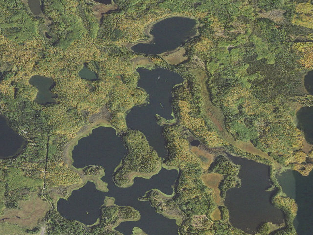 Aerial image of Jack The Horse M130