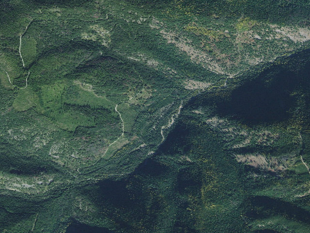 Aerial image of Jackpine Flats Campground