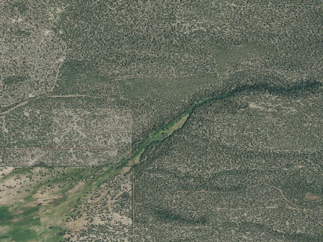 Aerial image of Jackson Creek Forest Camp