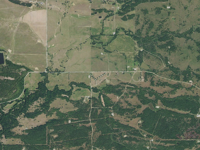 Aerial image of James Collins (James Collins WMA)