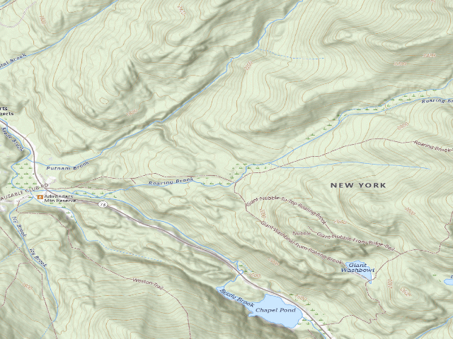 USGS topographic map of Jct Roaring Brook Trail To Washbowl Trail [DEC #13928] (Giant Mountain Wilderness)