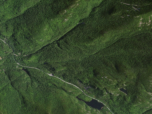 Aerial image of Jct Roaring Brook Trail To Washbowl Trail [DEC #13927] (Giant Mountain Wilderness)