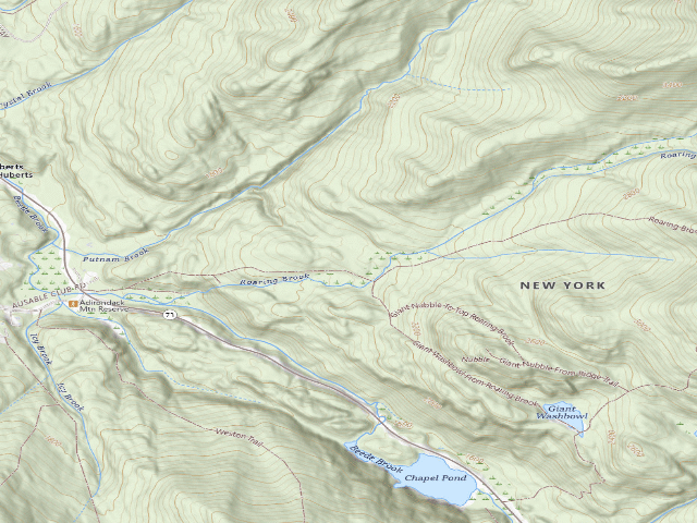 USGS topographic map of Jct Roaring Brook Trail To Washbowl Trail [DEC #13927] (Giant Mountain Wilderness)