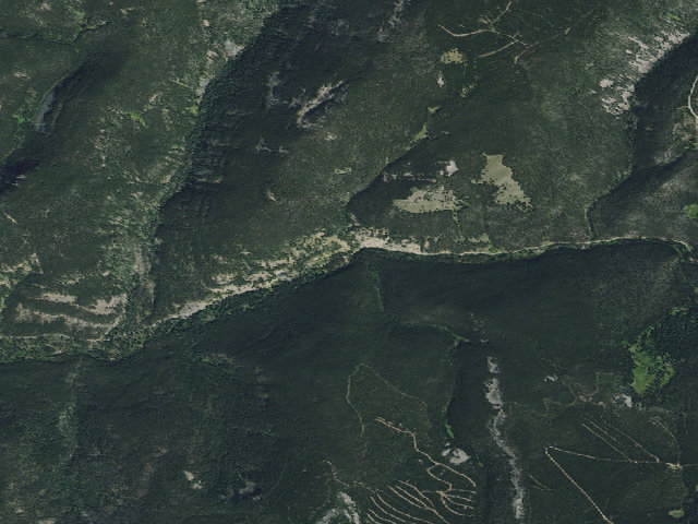 Aerial image of Jefferson Creek-010
