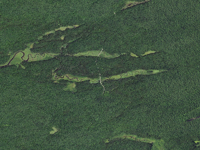 Aerial image of Jerseyfield Rd #1 (Ferris Lake Wild Forest)