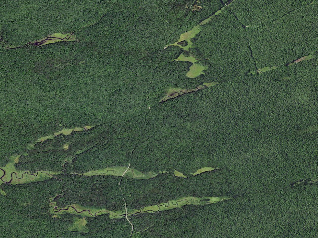 Aerial image of Jerseyfield Rd #2 (Ferris Lake Wild Forest)