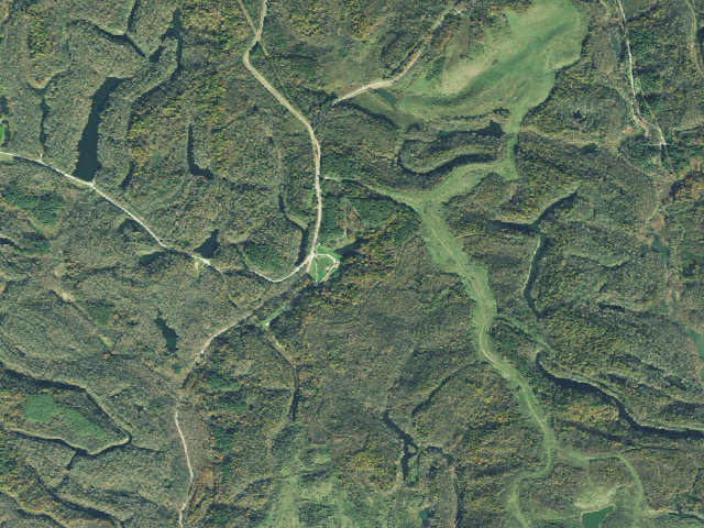 Aerial image of Jesse Owens State Park - Hook Lake Campground (no fee)