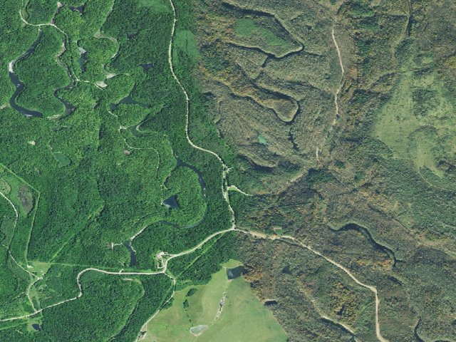 Aerial image of Jesse Owens State Park - Maple Grove Campground (no fee)