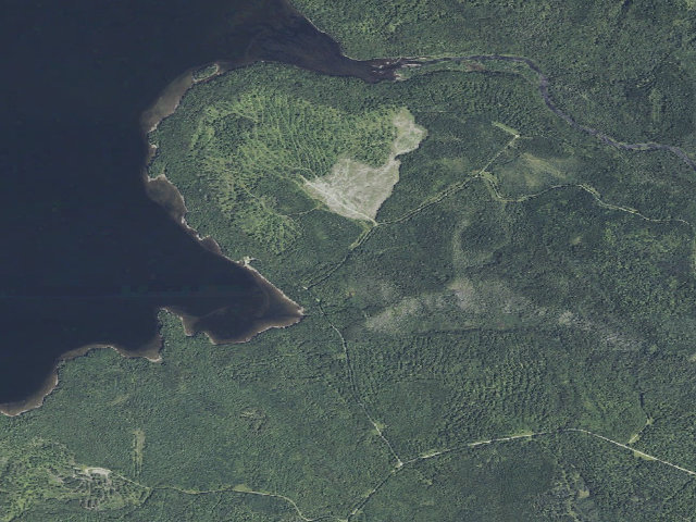 Aerial image of Jewett Cove (Moosehead Lake Shoreline Public Land)