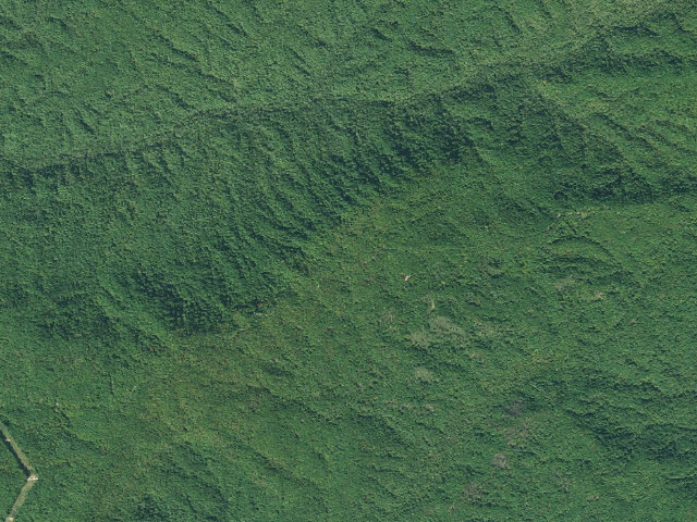 Aerial image of Jocassee Gorges primitive campsite