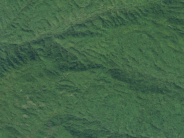 Aerial image of Jocassee Gorges primitive campsite
