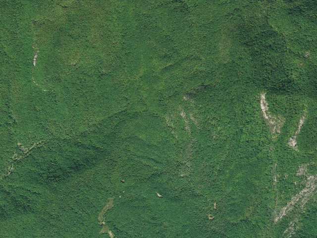 Aerial image of Jocassee Gorges primitive campsite