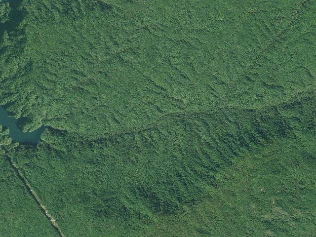 Aerial image of Jocassee Gorges primitive campsite