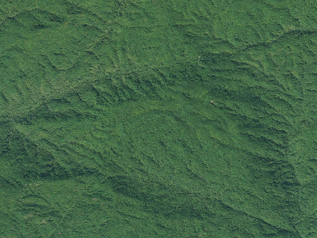 Aerial image of Jocassee Gorges primitive campsite