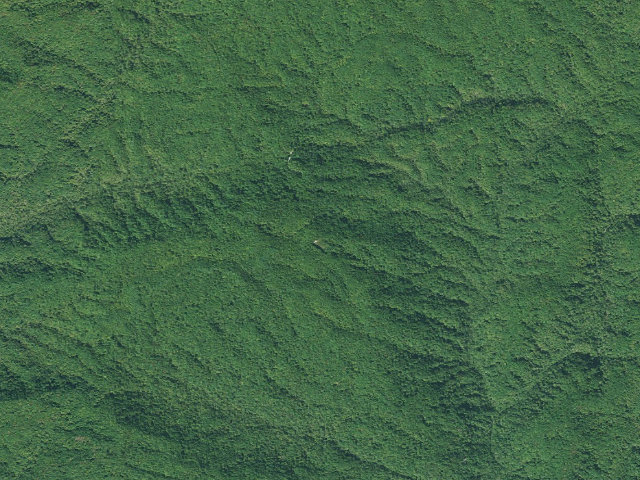 Aerial image of Jocassee Gorges primitive campsite