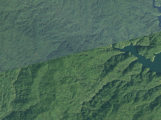 Aerial image of Jocassee Gorges primitive campsite
