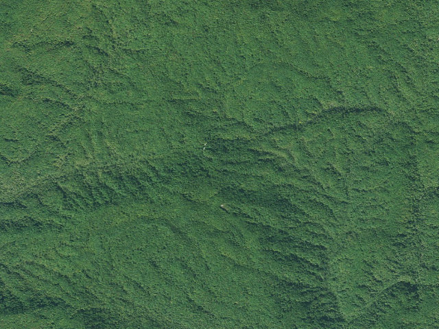 Aerial image of Jocassee Gorges primitive campsite