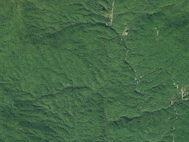 Aerial image of Jocassee Gorges primitive campsite