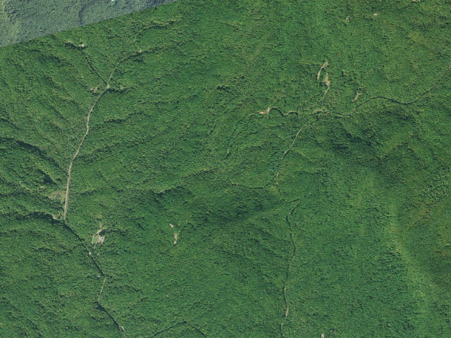 Aerial image of Jocassee Gorges primitive campsite
