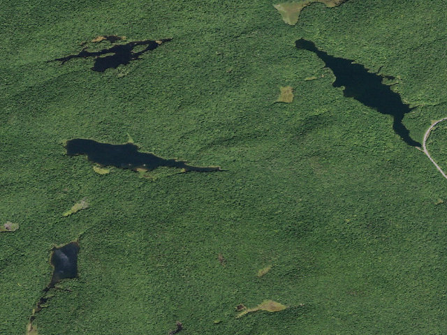 Aerial image of Jockeybush Lake #1 (Ferris Lake Wild Forest)