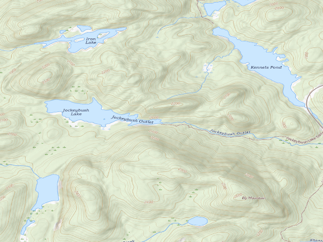USGS topographic map of Jockeybush Lake #1 (Ferris Lake Wild Forest)