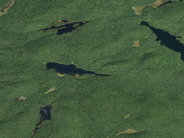 Aerial image of Jockeybush Lake #2 (Ferris Lake Wild Forest)