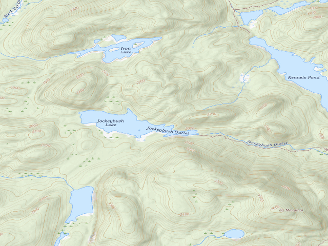 USGS topographic map of Jockeybush Lake #2 (Ferris Lake Wild Forest)
