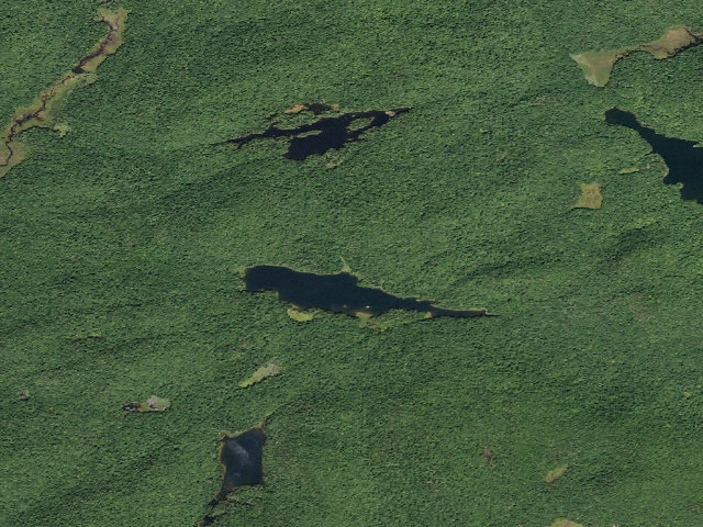 Aerial image of Jockeybush Lake #3 (Ferris Lake Wild Forest)