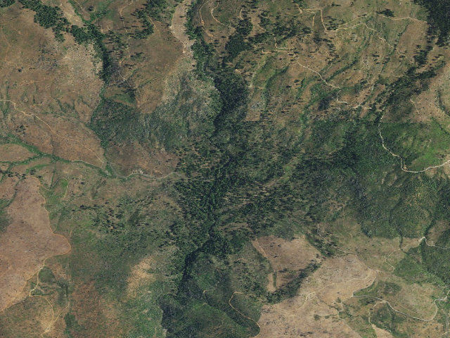 Aerial image of Joe Walt Run