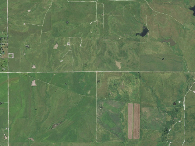 Aerial image of John Dahl WMA primitive camp #1