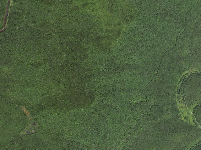 Aerial image of Johns Camp Shelter