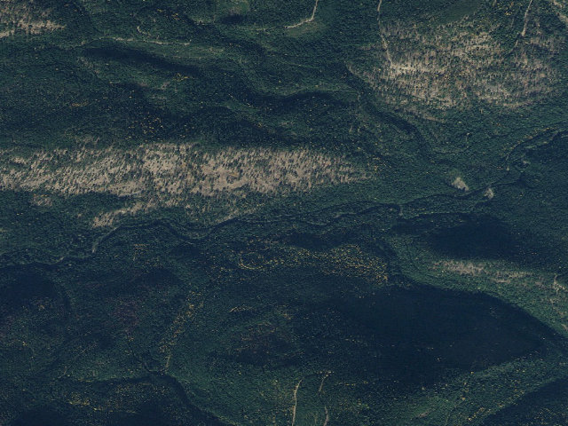 Aerial image of Johns Creek Campsite