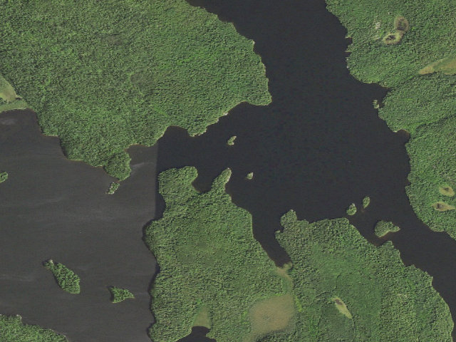 Aerial image of Johnson Lake Site 10