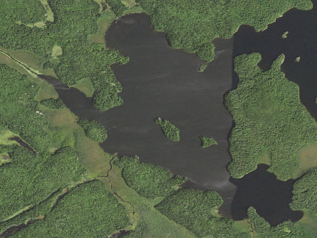 Aerial image of Johnson Lake Site 13