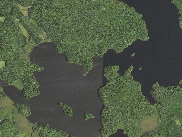 Aerial image of Johnson Lake Site 7