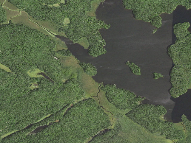Aerial image of Johnson Lake Site 8
