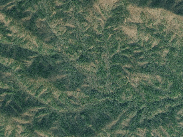 Aerial image of Jones Creek Dispersed Area