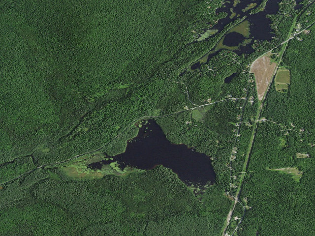 Aerial image of Jones Pond Campsite #1 (Debar Mountain Wild Forest)