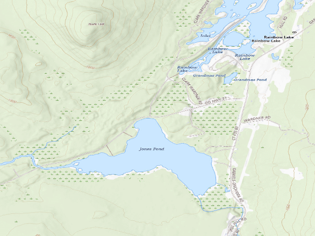USGS topographic map of Jones Pond Campsite #1 (Debar Mountain Wild Forest)