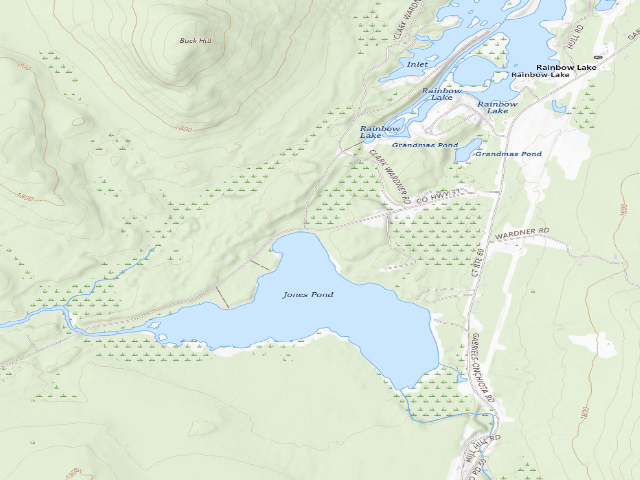 USGS topographic map of Jones Pond Campsite #2 (Debar Mountain Wild Forest)