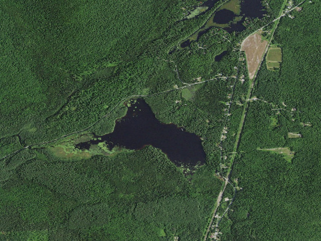 Aerial image of Jones Pond Campsite #5 (Debar Mountain Wild Forest)